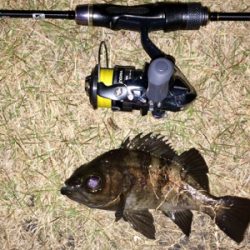 メバリンガー1900〜1939