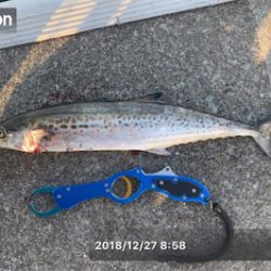 となりの◯◯ロ