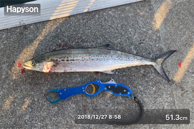 となりの◯◯ロ