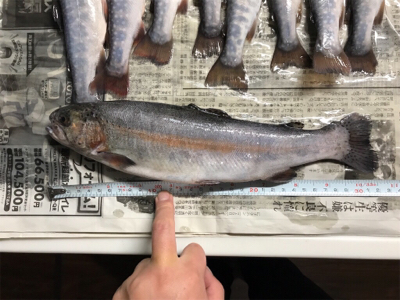 朽木渓流魚センター