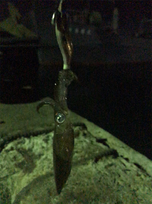 今年最後のヒイカ釣り＼(^^)／プチ1091状態！