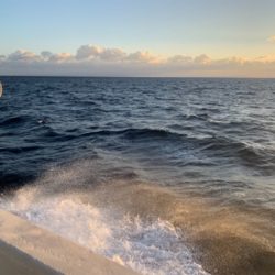 寒ブリを求めて 2