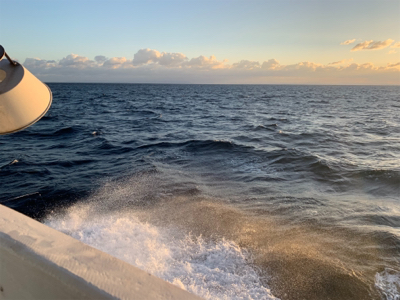 寒ブリを求めて 2