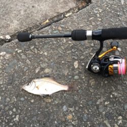 小物釣り