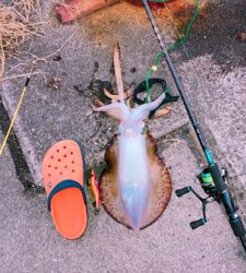 今年の竿おさめ