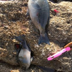 タフコンディション