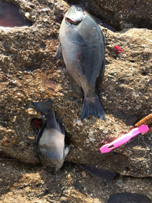 タフコンディション