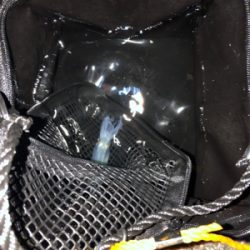 はじめてのヒイカ