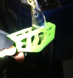 柳タチウオ?って言うの⁇