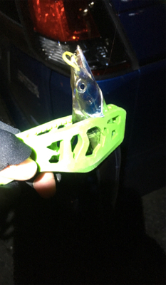 柳タチウオ?って言うの⁇