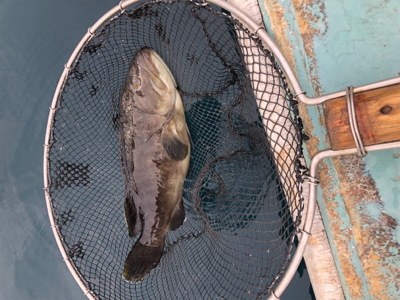 やりました‼︎