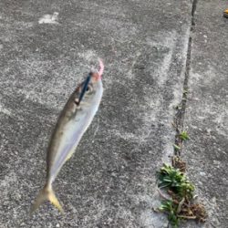 大晦日マイクロジギング