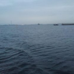 ロックフィッシュショート便