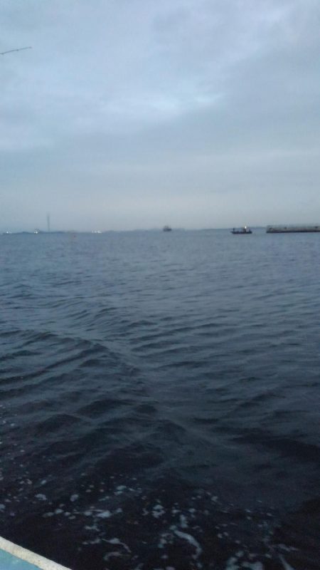 ロックフィッシュショート便