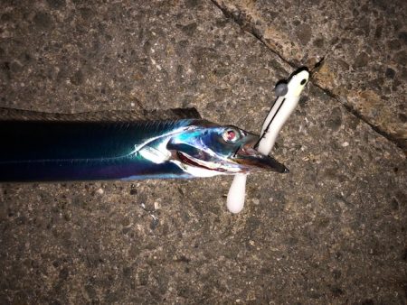 明石ワインド16