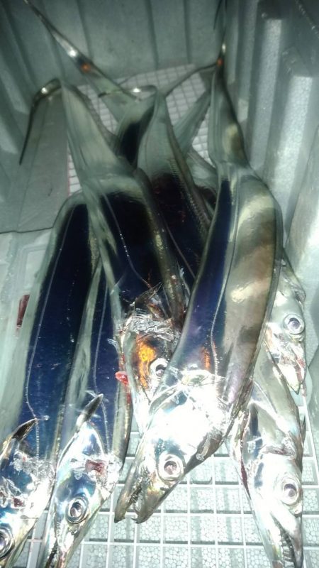 1週間ぶり激寒の中