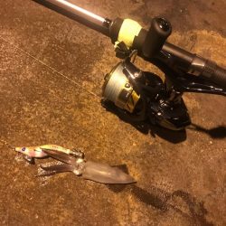 ライトエギング