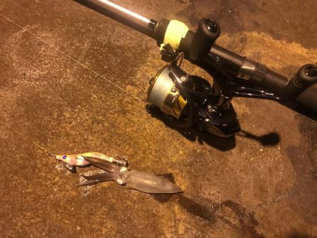 ライトエギング