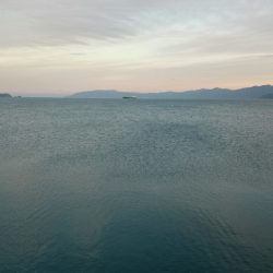 渋い中なんとか2本