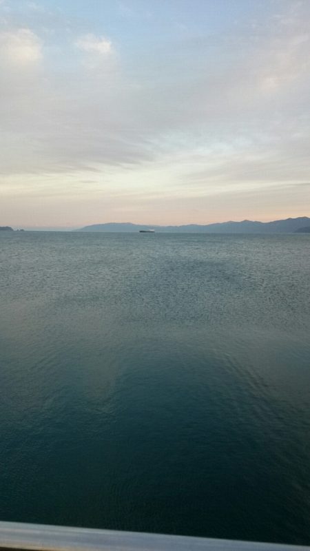 渋い中なんとか2本