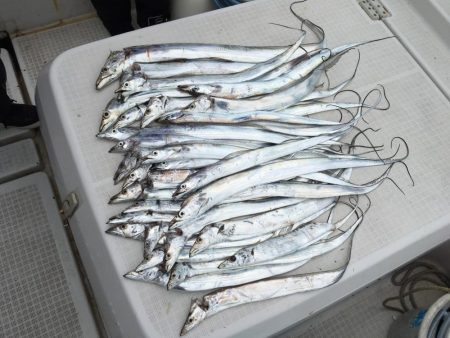 タチウオ楽釣！