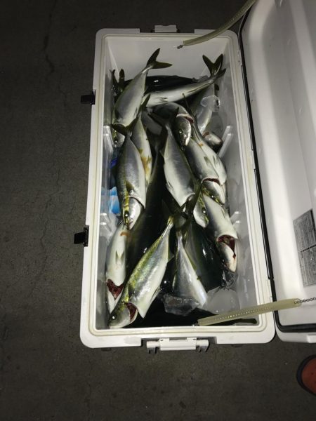 ジギング釣り納め