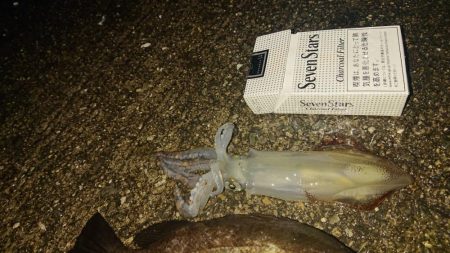 のんびりまったり