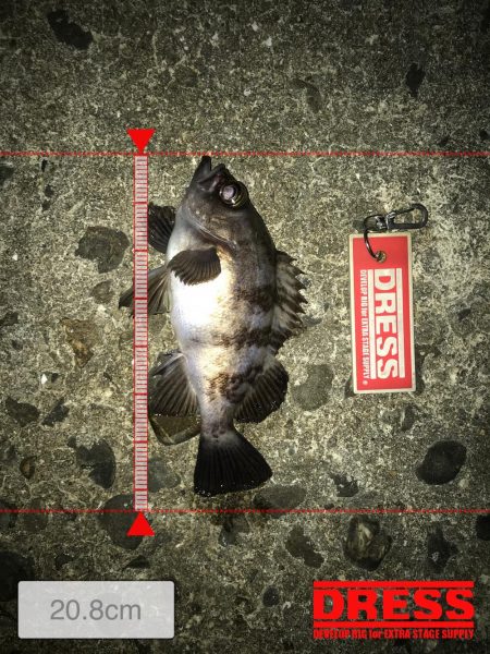 メバリン……サバゲー！！！