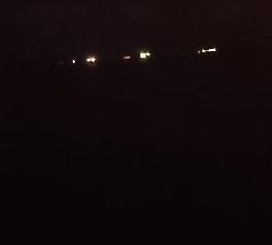 アコウにガシラ