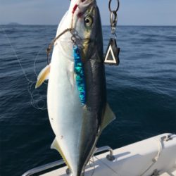 高波の中ジギング釣行