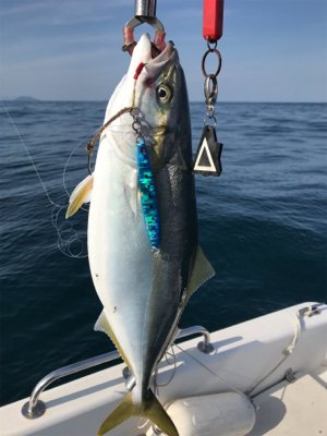 高波の中ジギング釣行