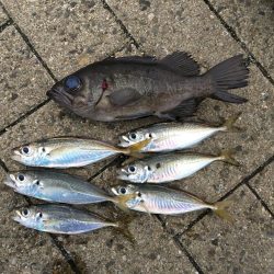 爆風ライトゲーム