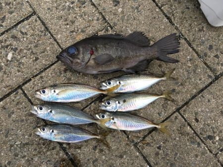 爆風ライトゲーム