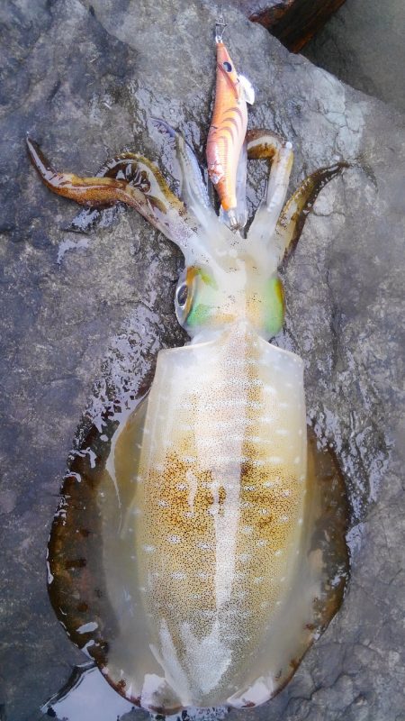 3ヒット中1キャッチだけでした～