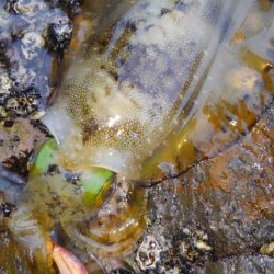 久々300g アップ⤴⤴