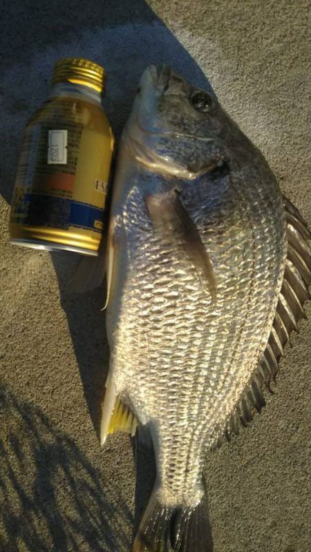 すごい引きでした