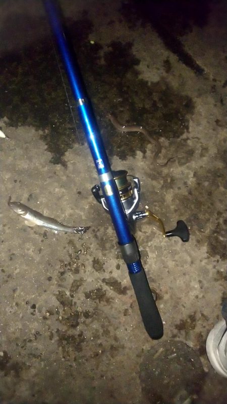 ちょい投げ釣り