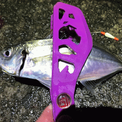 坊勢アジング(2018-12)