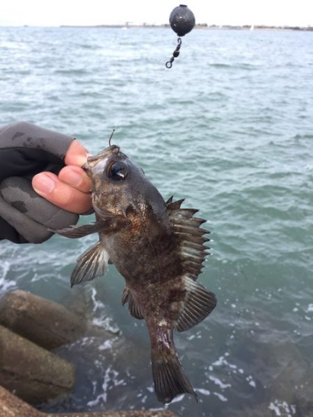 冬将軍と穴釣り