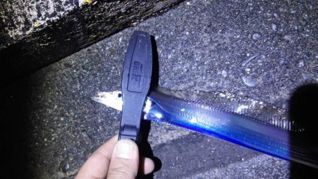 ライトゲームで太刀魚リリースサイズ、カサゴ…