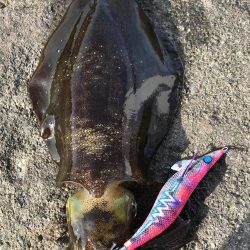 西高東低  爆風の一日