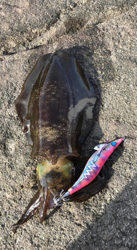 西高東低  爆風の一日