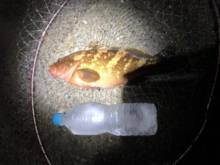 赤色のうまい奴