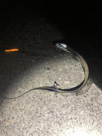 極寒の中、釣り納め