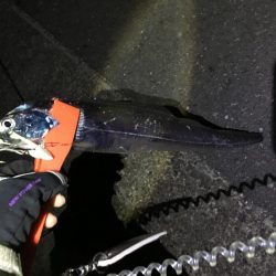 やっと複数安打！！！