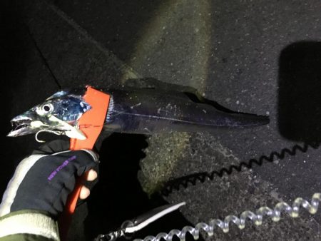 やっと複数安打！！！