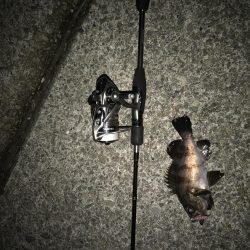 今日はメバリング♫