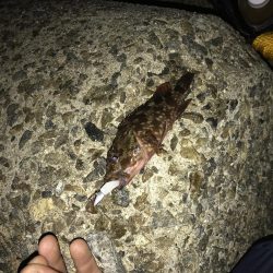 今日もライトワインド修行