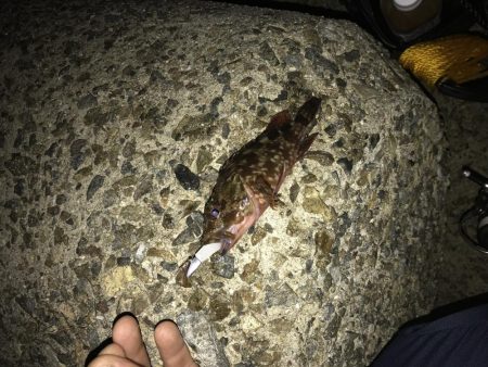 今日もライトワインド修行