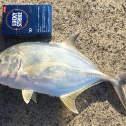 メッキ　釣り時間1時間